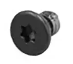 Screw, Wireless Card, Torx T4