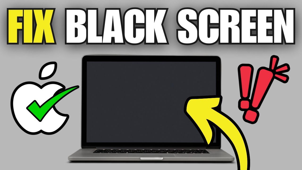 MacBook Screen Not Turning On? Here's Why Tampa Locals Trust WarriorMac to Fix It Fast