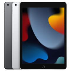 iPad (9th generation)