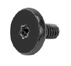 923-00224 – Screw, Torx T5, Flash Storage