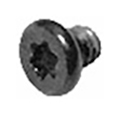 923-00501 – Screw Thermal, T5