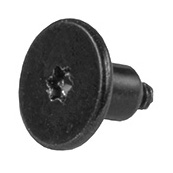 923-01179 – Screw, Speaker, Short, Torx T5