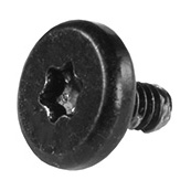 923-01184 – Screw, Antenna, Torx T5