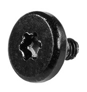 923-01281 – Screw, Cowling, Track Pad, Torx T5