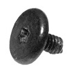 923-0149 – Screw, M1.6 x 3.6, Torx T5, Large Head