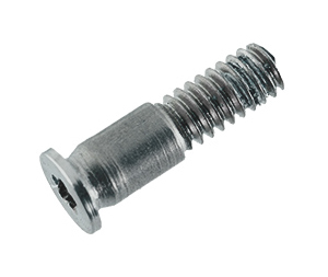 923-02816 – Screw, Bottom Case, Rear Center, Pentalobe P5, Space Gray