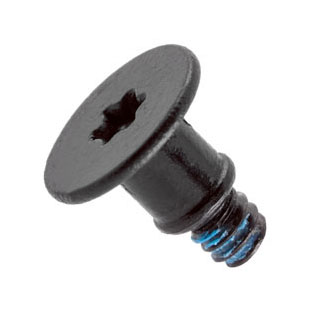 923-0339 – Screw, Torx T5, Camera / iSight