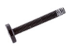 923-03405 – Screw, Fan, Rear, Long, Torx T8