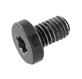 923-03419 – Screw, Logic Board, Torx T8