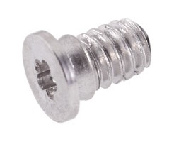 923-03965 – Screw, Bottom Case, Front, Pentalibe P5, Silver