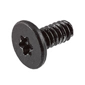 923-03968 – Screw, Logic Board, Torx T5