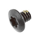 923-05243 – Screw, Display Clutch Covers, Torx T3