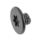 923-05253 – Screw, Cowling, L-Shaped, M1.2X0.2, Torx T3