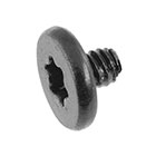 923-05254 – Screw, Cowling, Trackpad Flex Cable, M1.2X0.25, Torx T5