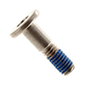 923-05554 – Screw, Stand/VESA Mount, Pentalobe 10 (10IP)