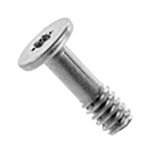 923-05669 – Screw, Audio Board, Torx T3