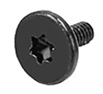 923-0711 – Screw M2, 5.00, Torx T8
