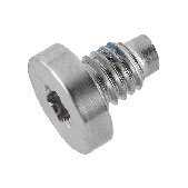 923-0712 – Screw M3, Dogpoint, Short, Torx T8