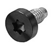923-0715 – Screw M2.5, Dogpoint, Torx T8