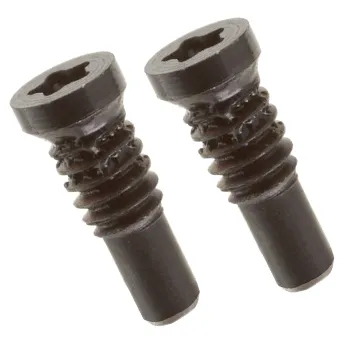 Security Screw (2 Pieces) 923-02005