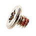 923-05174 – Screw, Antenna Ground Clip, Torx T3
