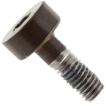 Logic Board Screw (5 Pieces) 923-07094