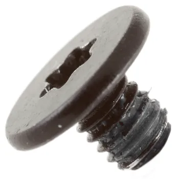 SSD Module Screw (5 Pieces) 923-09158