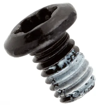 923-12579 – Display Hinge Screw (5 Pieces)